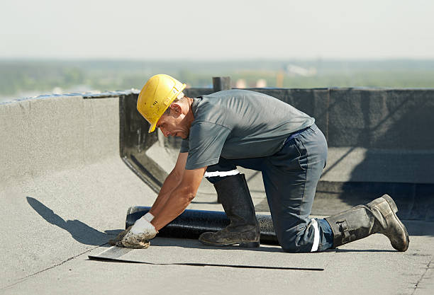 Best Spray Foam Insulation  in Red Bank, TN